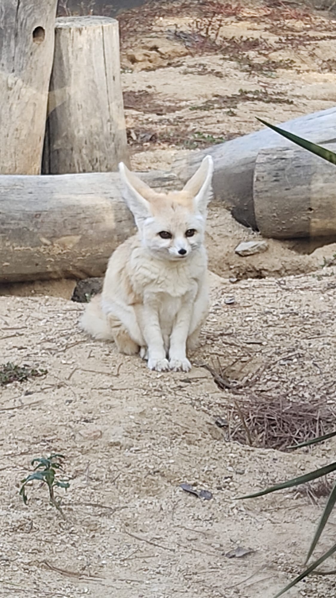 Photo n° 14 de l'avis de MURIEL.O fait le 27/10/2023 à 12:39