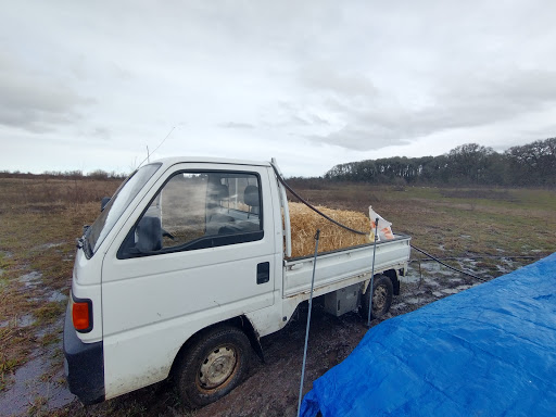 Home Improvement Store «Marys Peak True Value», reviews and photos, 1740 Main St, Philomath, OR 97370, USA