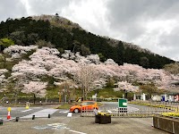 津久井湖城山公園 花の苑地