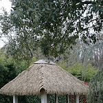 Photo n° 4 de l'avis de manuella.u fait le 30/03/2024 à 19:04 pour Les Jardins de Beauval à Saint-Aignan