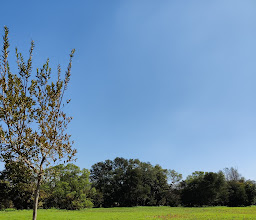 Irene Farm photo