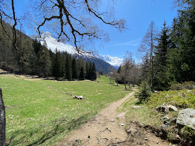 Peak Immobilier à Chamonix-Mont-Blanc