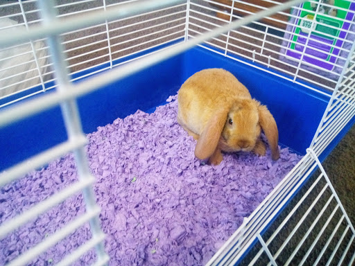 Pet Store «Wet Pets», reviews and photos, 1712 Montgomery Hwy, Dothan, AL 36303, USA