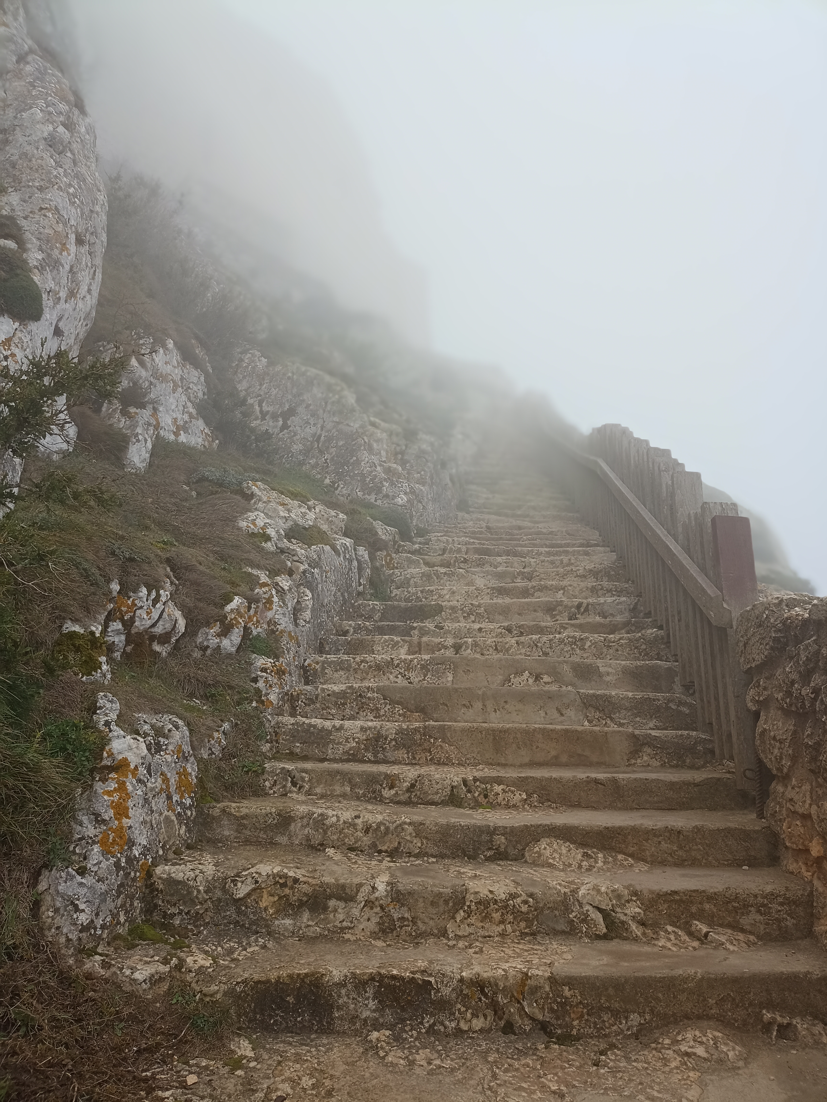 Photo n° 8 de l'avis de Isabelle.L fait le 31/12/2022 à 07:40