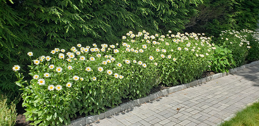 Golf Club «York Golf & Tennis Club», reviews and photos, 62 Organug Rd, York, ME 03909, USA