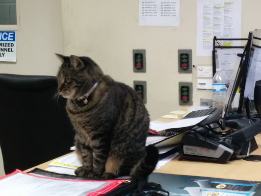 Car Dealer «Troncalli Chrysler-Jeep-Dodge-Ram», reviews and photos, 818 Atlanta Hwy, Cumming, GA 30040, USA