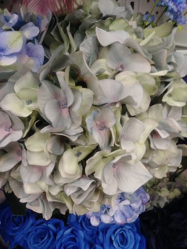 Fabric Store «Jo-Ann Fabrics and Crafts», reviews and photos, 1500 Bald Hill Rd a, Warwick, RI 02886, USA