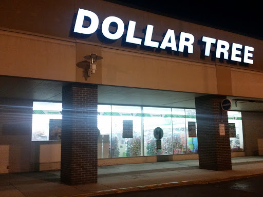 Dollar Tree, 31123 Harper Ave, St Clair Shores, MI 48082, USA, 