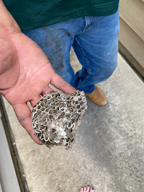 Freddy's Critter Control - Photo 8 - Car repair in , The Woodlands