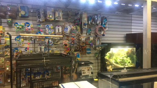 Pet Store «Pet Resources», reviews and photos, 814 Westchester Ave, Bronx, NY 10455, USA