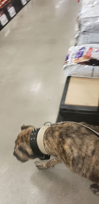 Orscheln Farm & Home - Photo 6 - Car repair in Blue Springs, MO, Independence