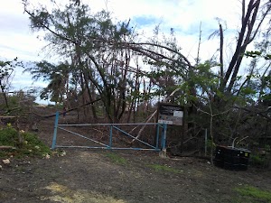 Finca Nolla - photo 20