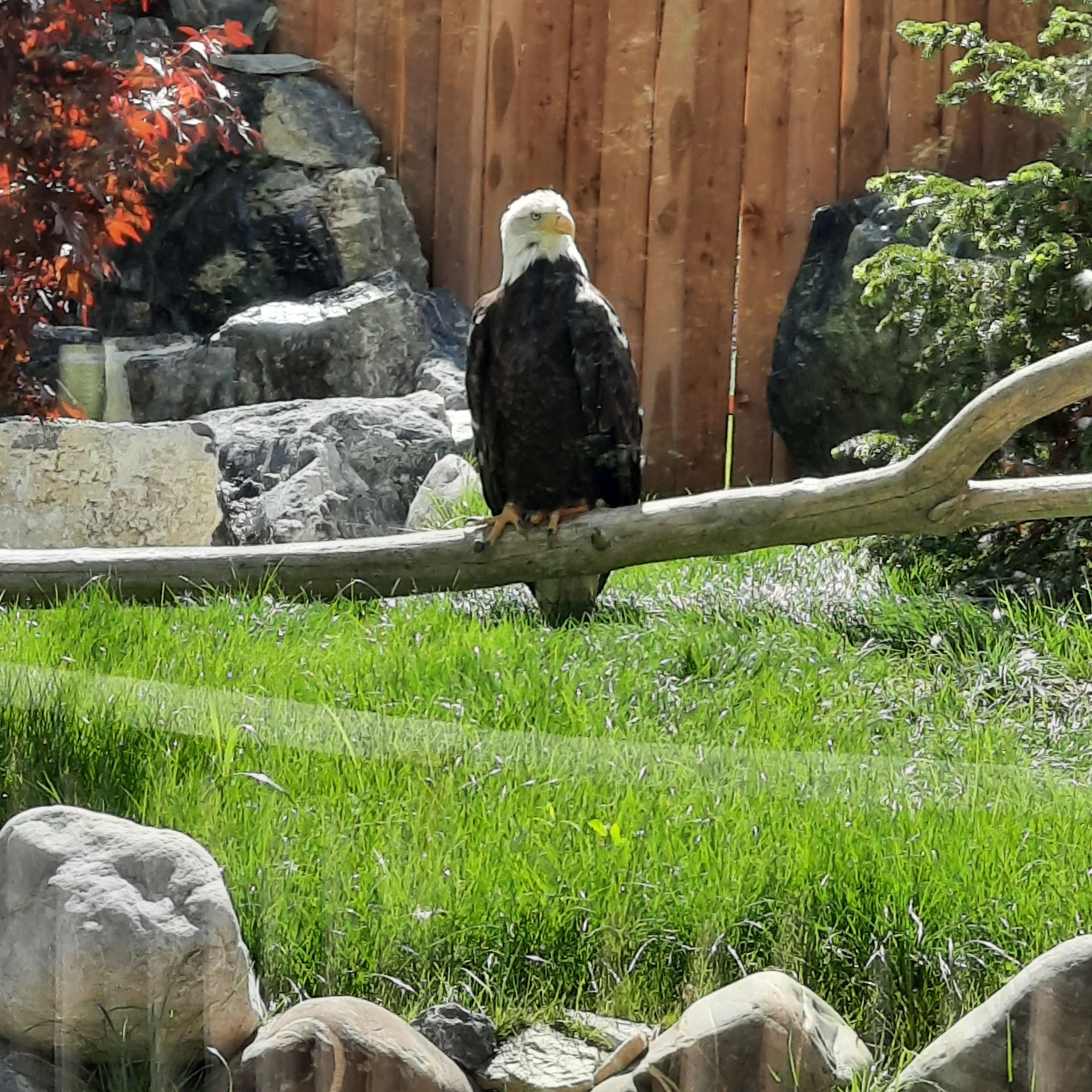 Photo n° 5 de l'avis de Caro66.l fait le 27/06/2022 à 06:06