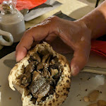 Photo n° 3 de l'avis de Winncie. fait le 07/07/2023 à 00:28 pour Restaurant Les pieds bleus à Gennes-Val-de-Loire