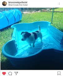 Brier Creek Pet Hotel - Photo 3 - Car repair in Morrisville, NC, Raleigh