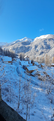 les anémones à Les Orres