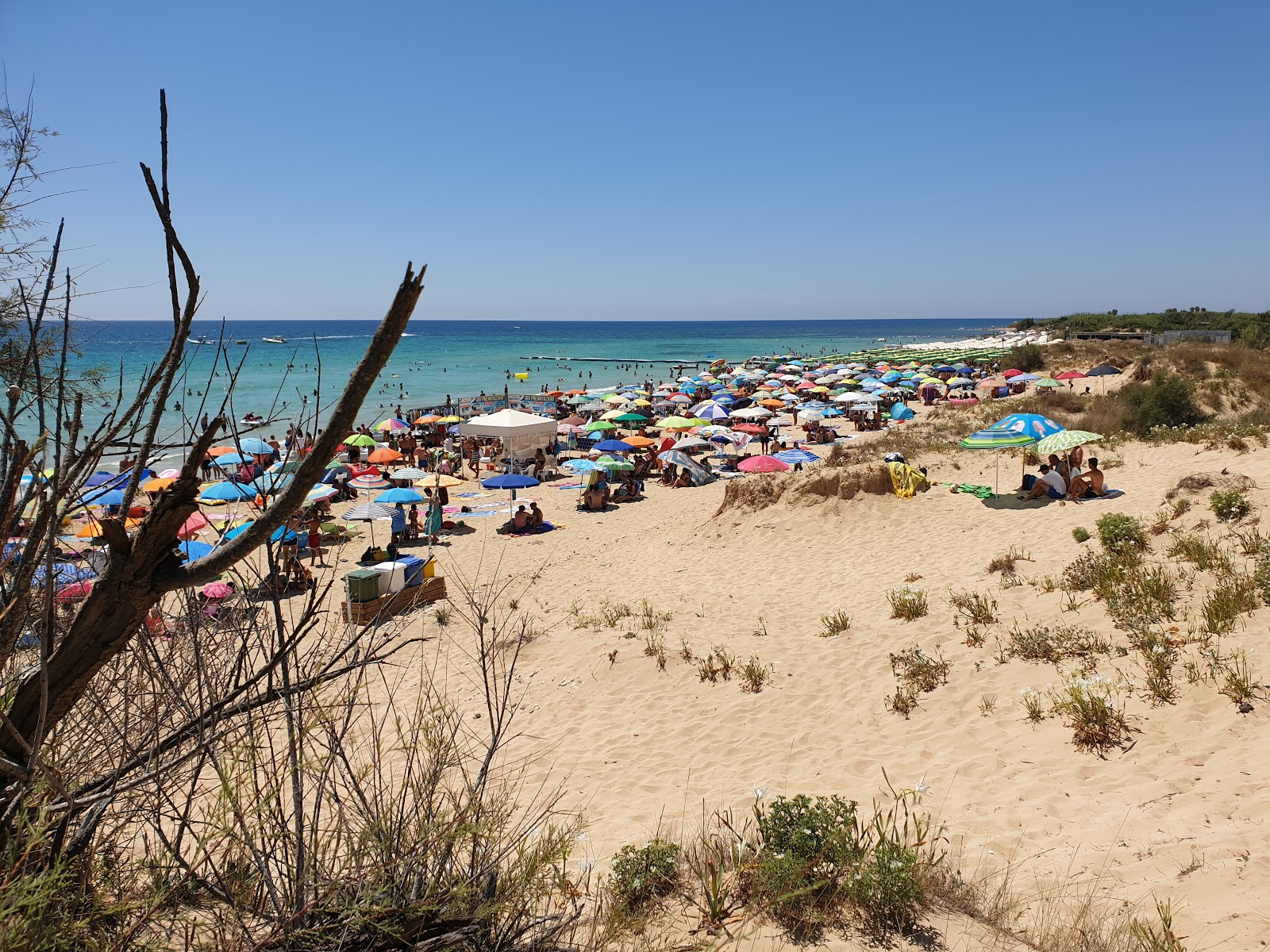 Maldive del Salento'in fotoğrafı - tatil için iyi evcil hayvan dostu nokta