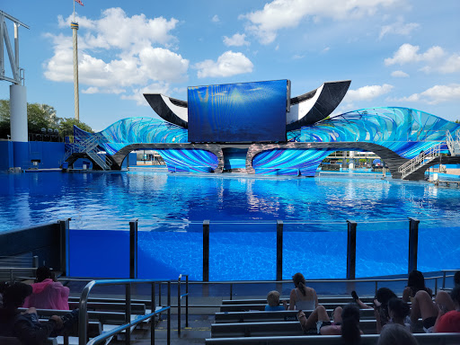 Theme Park «SeaWorld Orlando», reviews and photos, 7007 Sea World Dr, Orlando, FL 32821, USA