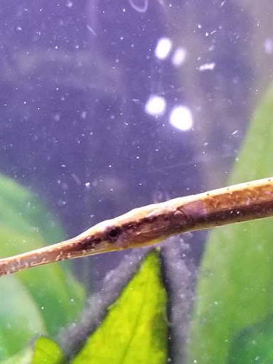 Pet Supply Store «Petco Animal Supplies», reviews and photos, 11633 Ulysses Ln NE #200, Blaine, MN 55434, USA