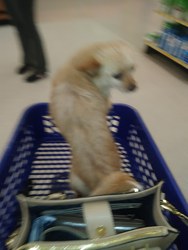 Pet Supply Store «PetSmart», reviews and photos, 7061 Youree Dr, Shreveport, LA 71105, USA