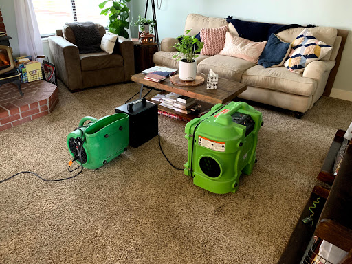 EASY CLEAN CARPET CARE image