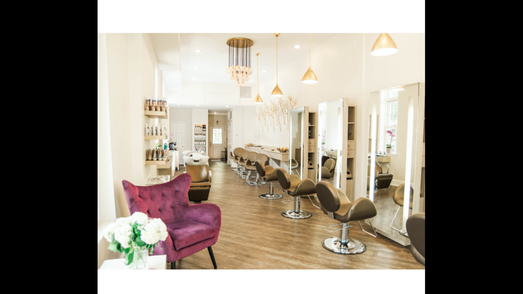 Salon Domane. 19072