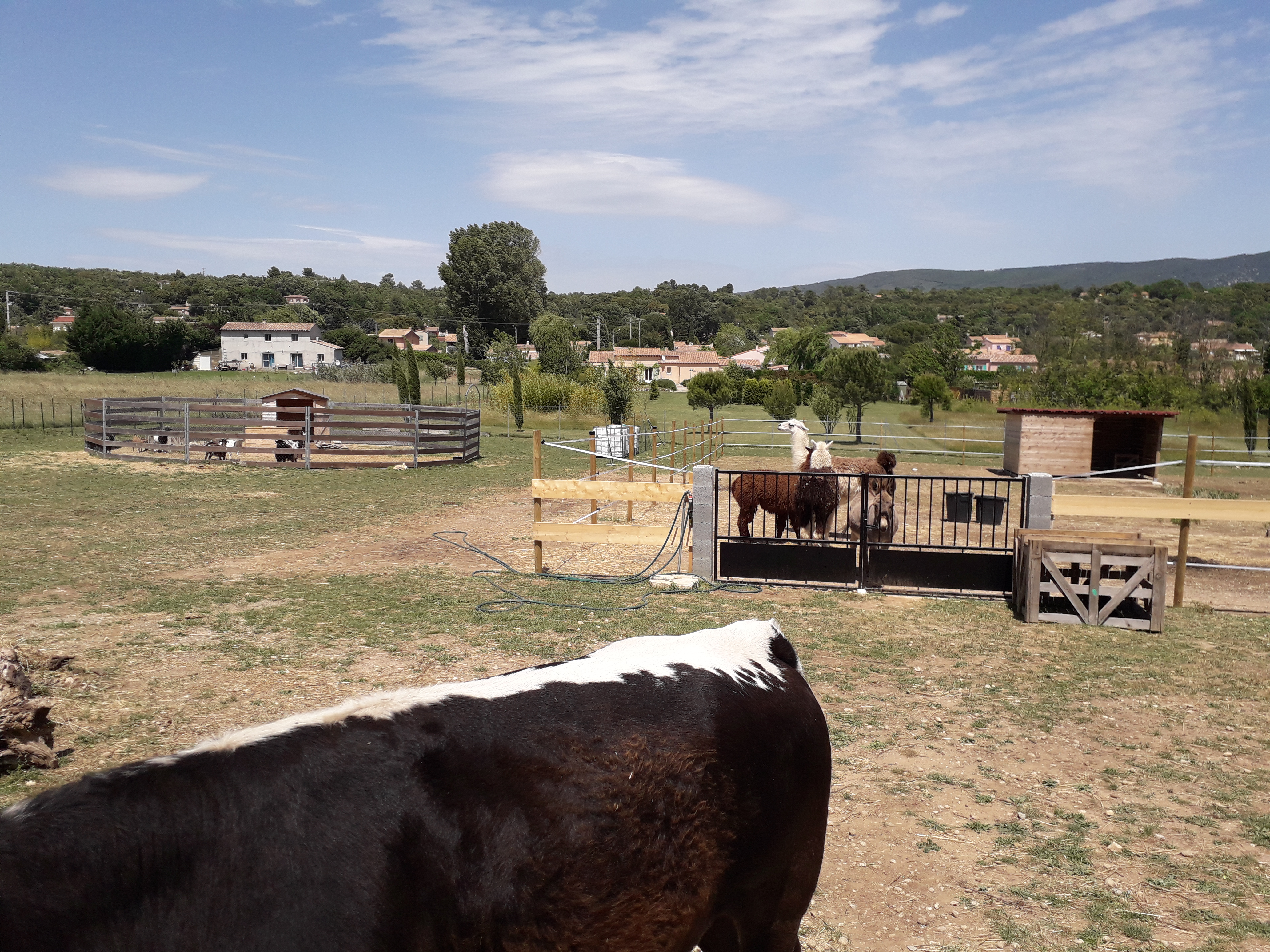 Photo n° 1 de l'avis de Jessica.a fait le 07/06/2019 à 14:53