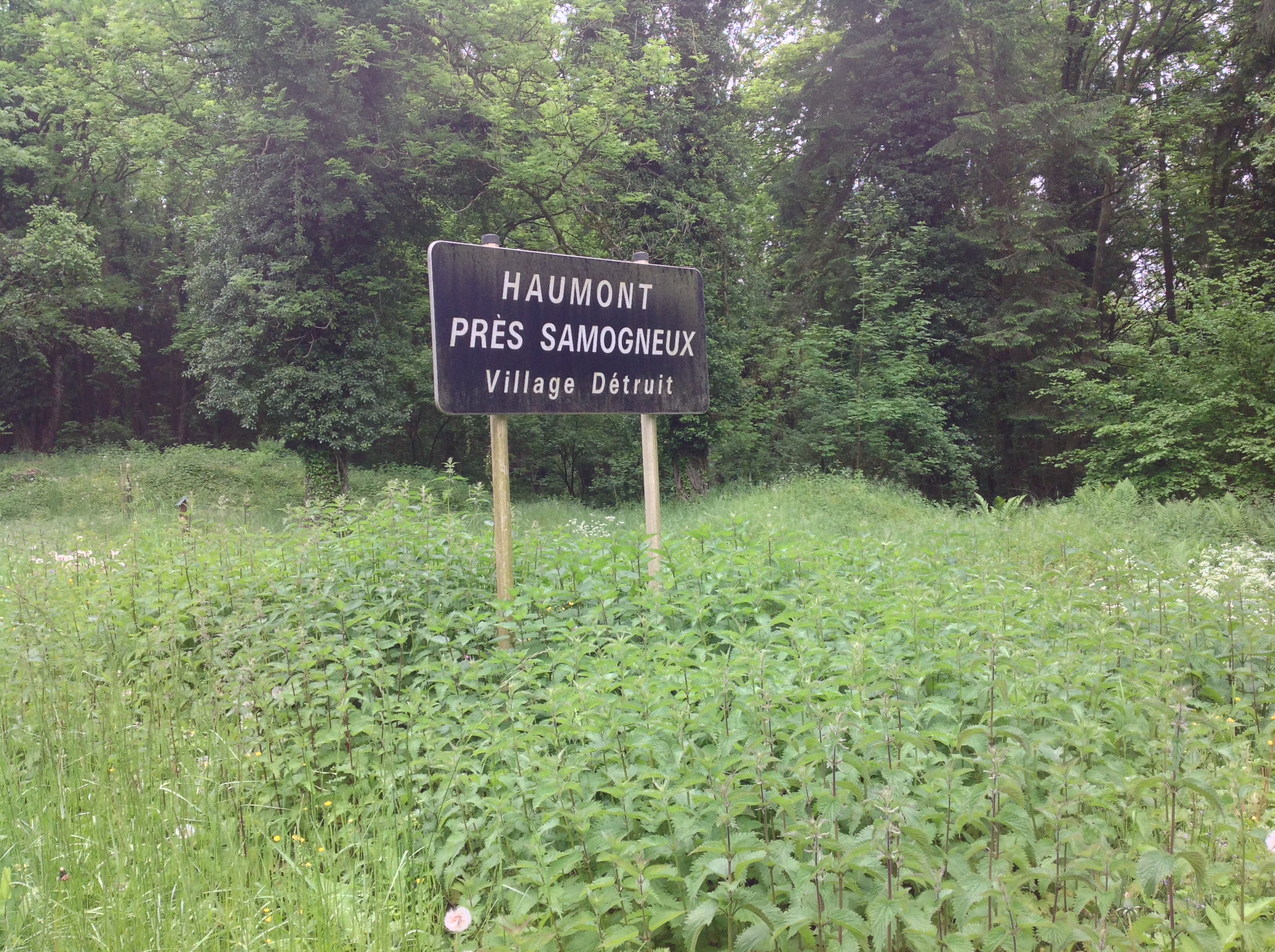 Photo n° 2 de l'avis de David.O fait le 21/05/2019 à 21:29