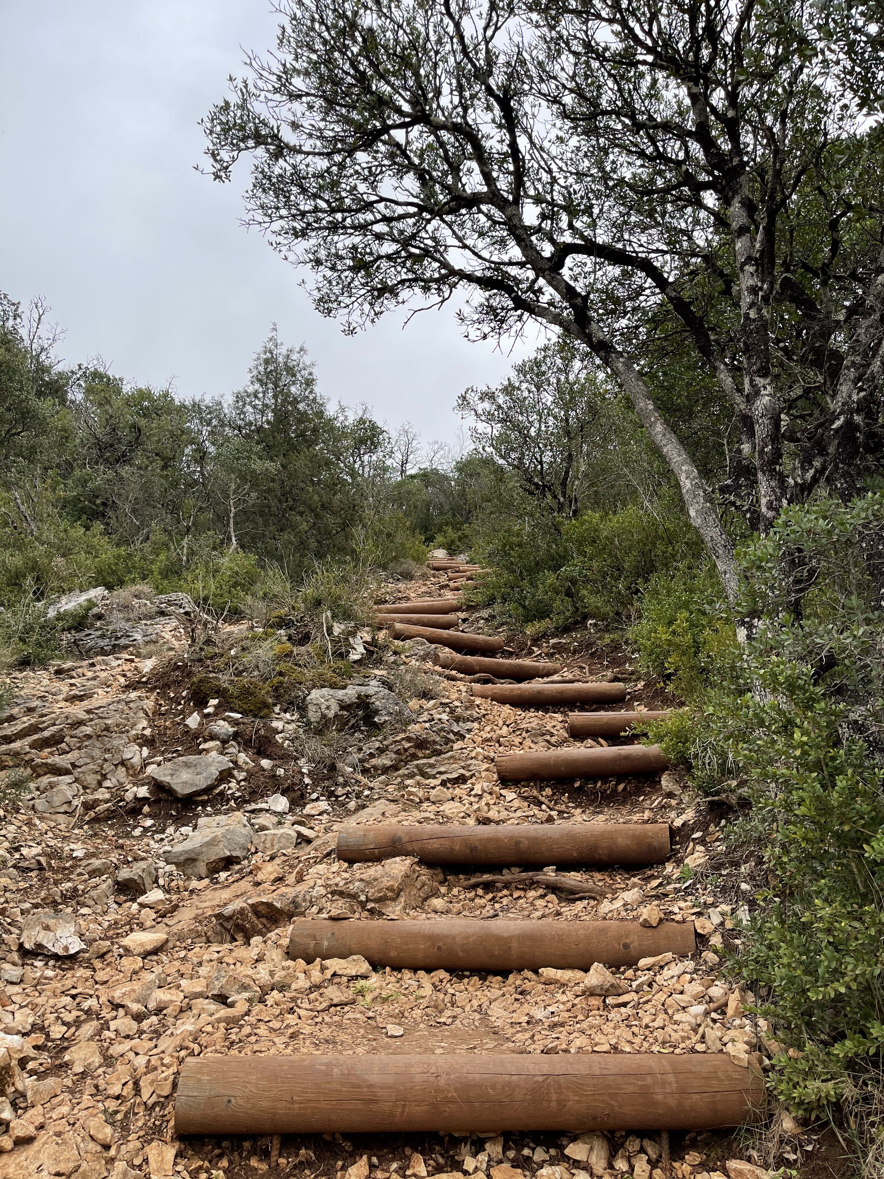 Photo n° 10 de l'avis de Stéphane.A fait le 23/03/2021 à 08:47