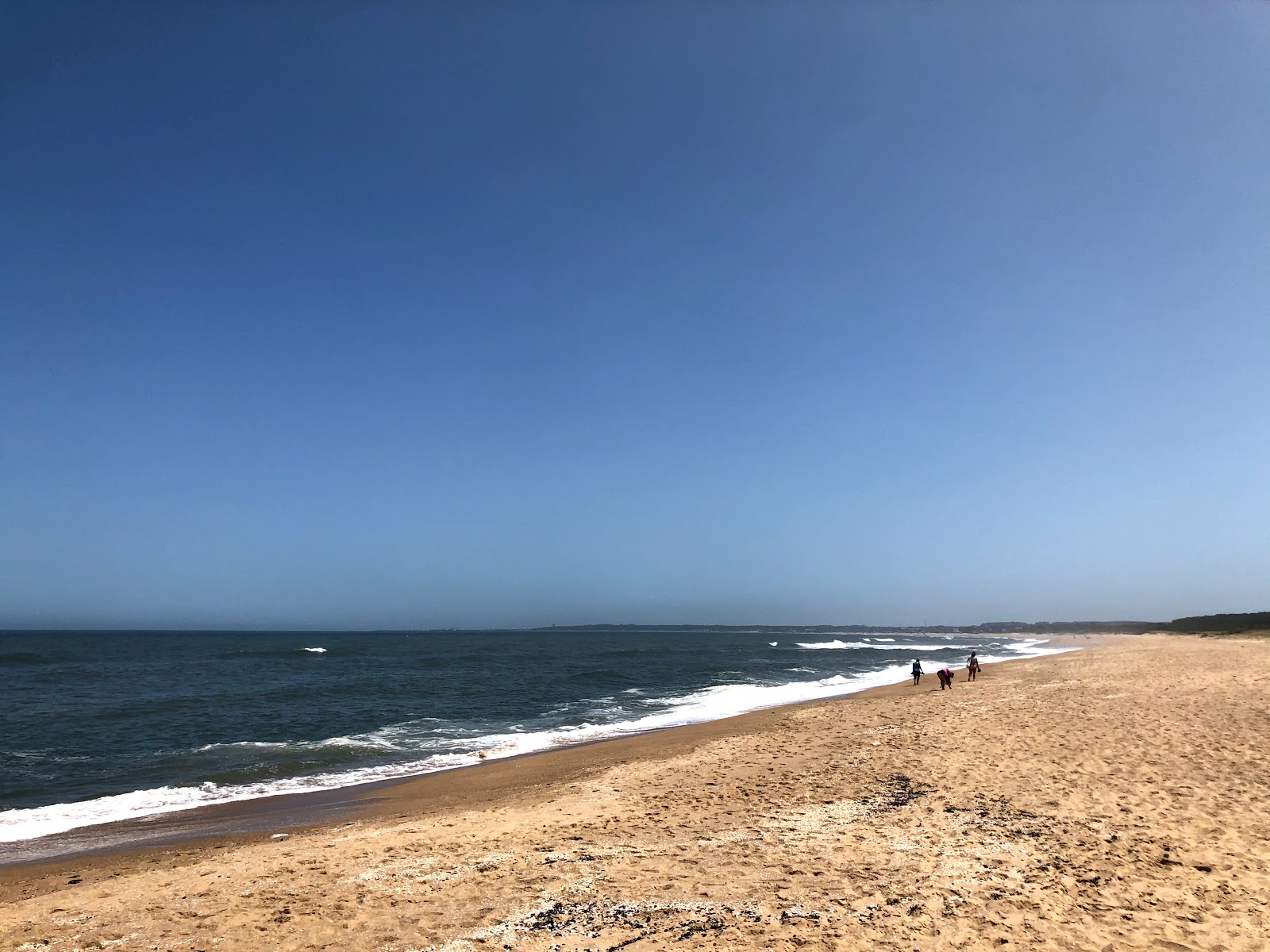Del Barco Beach photo #8