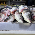 Photo n°2 de l'avis de Joe. fait le 19/04/2024 à 20:30 sur le  Restaurante O Valentim à Matosinhos