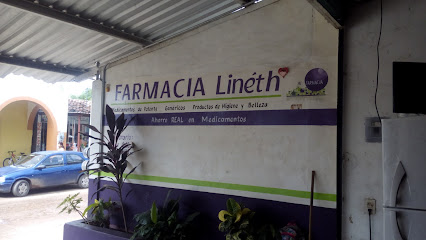 Farmacia Y Consultorio Lineth, , Tlalchapa