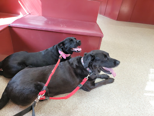 Lamczyk Veterinary Clinic LLC image