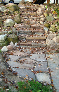 Plant Wise - Photo 9 - Car repair in Ann Arbor, MI, Ann Arbor