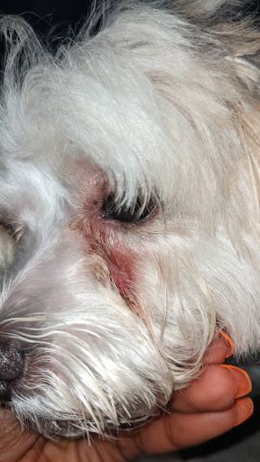 Pet Supply Store «Petco Animal Supplies», reviews and photos, 45205 Worth Ave, California, MD 20619, USA