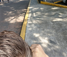 National Institute of Neurology and Neurosurgery photo