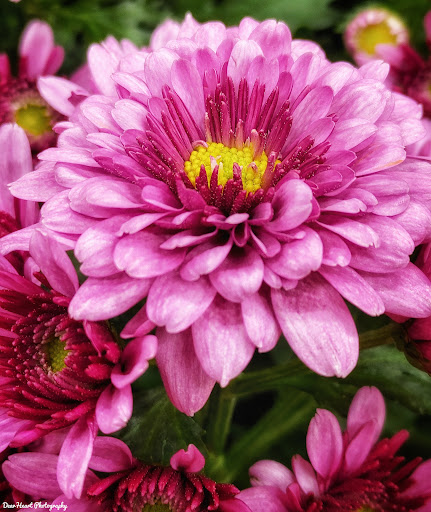 Home Improvement Store «The Home Depot», reviews and photos, 56 Myrick St, Ellsworth, ME 04605, USA