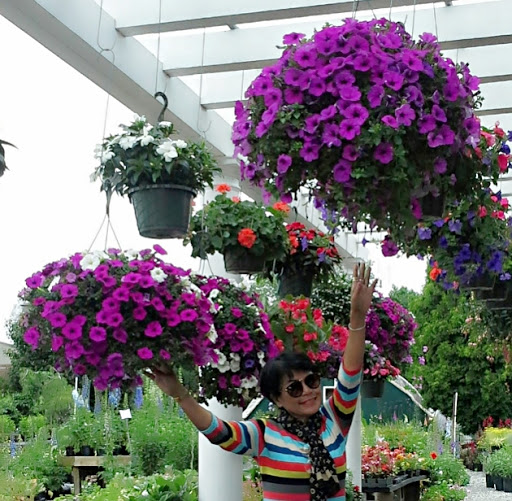 Florist «Yard Works», reviews and photos, 1309 Warwick Ave, Warwick, RI 02888, USA