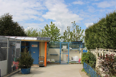 La Société Protectrice des Animaux (SPA) - Refuge de Châteaubourg à Châteaubourg