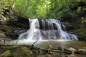 Holly River State Park image