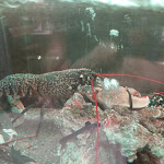 Photo n°7 de l'avis de Filipe.o fait le 30/09/2022 à 06:36 sur le  Restaurante Mariana à Viana do Castelo