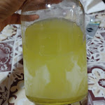 Photo n°11 de l'avis de Matthew.a fait le 02/07/2022 à 07:27 sur le  Trattoria Francesca à Enna