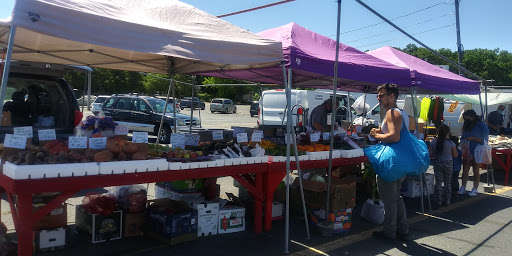 Flea Market «Collingwood Auction & Flea Market», reviews and photos, 1350 NJ-33, Farmingdale, NJ 07727, USA