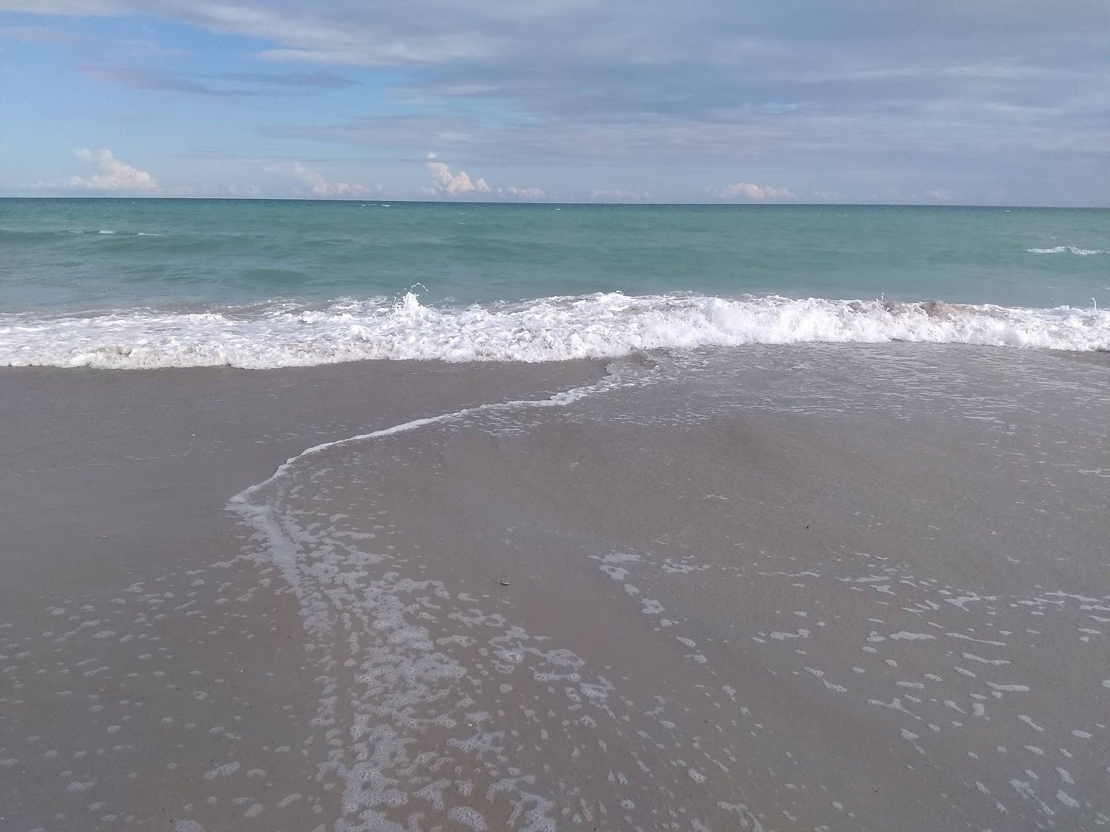 Photo de Sea Haven beach avec un niveau de propreté de très propre