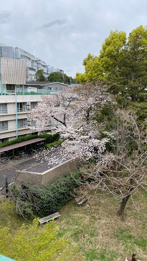 Univ. of Tokyo International Lodge