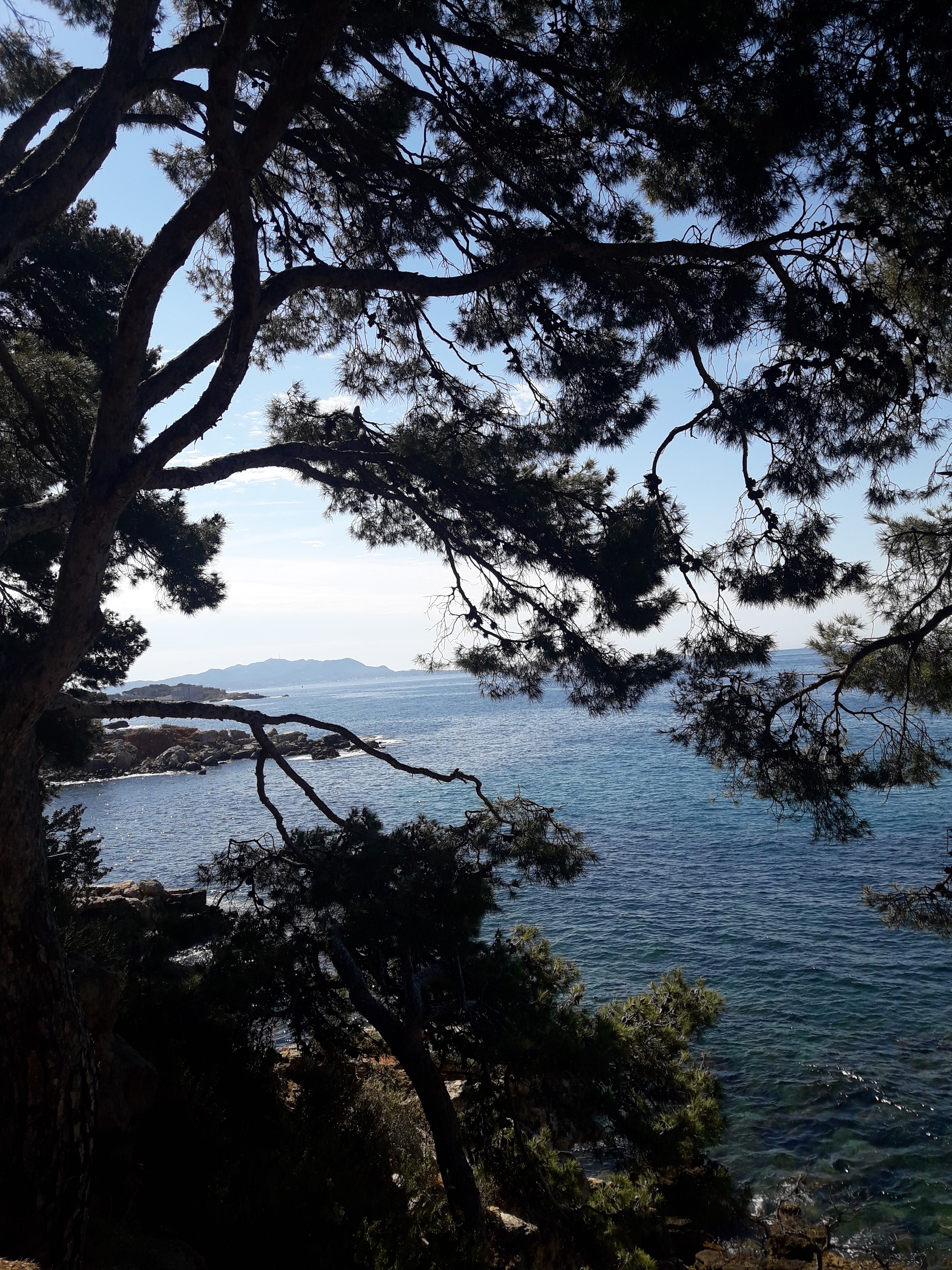 Photo n° 1 de l'avis de Jean.i fait le 27/05/2019 à 09:56