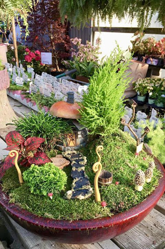 Garden Center «Schott Gardens», reviews and photos, 2209 Nashville Rd, Bowling Green, KY 42101, USA