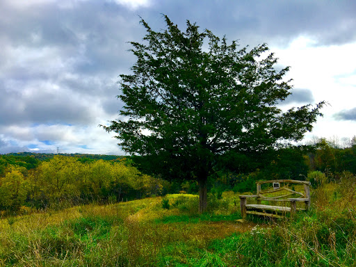 State Park «Goosepond Mountain State Park», reviews and photos, 1198 New York 17M, Chester, NY 10918, USA