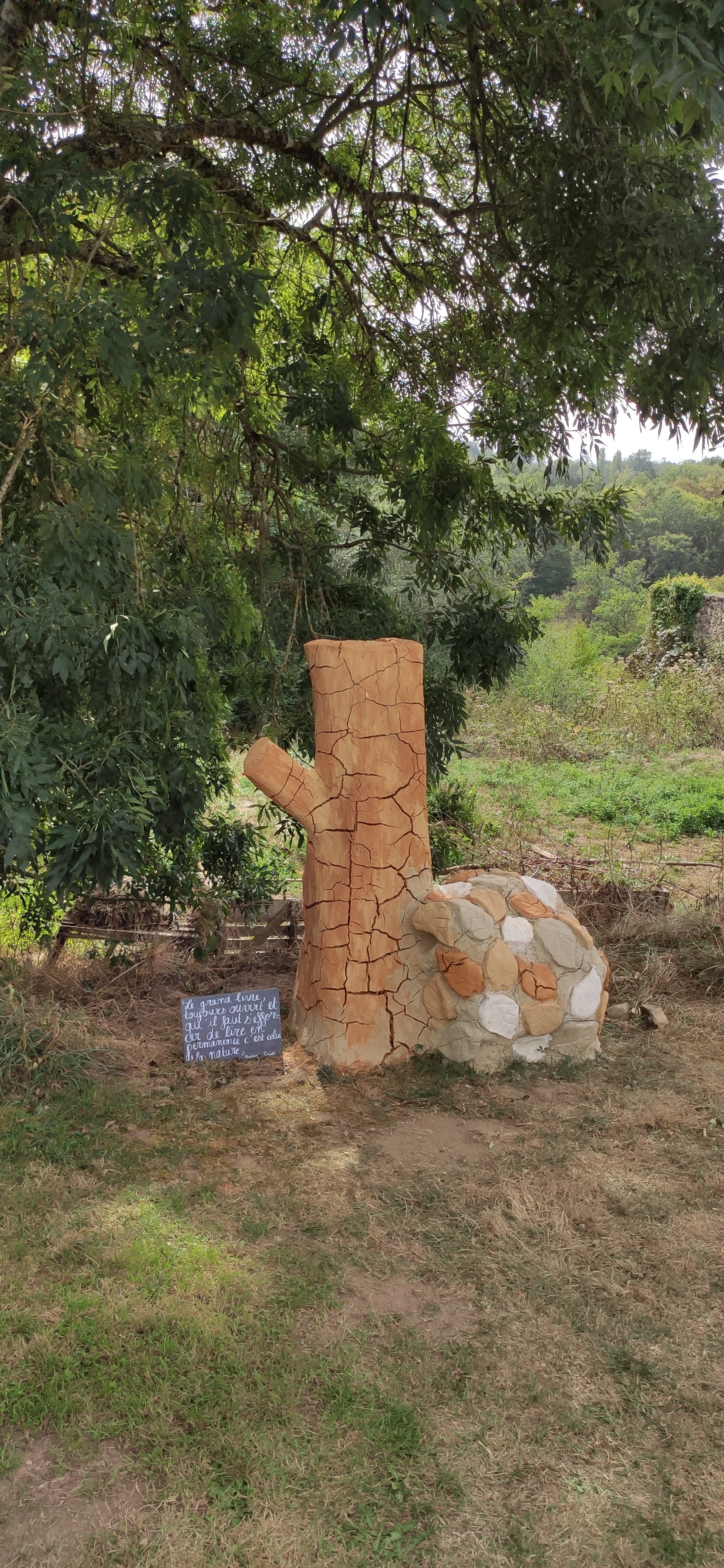 Photo n° 23 de l'avis de Pierre-Henry.O fait le 29/09/2023 à 05:19