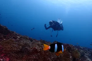 D2 Diving潛水中心 image